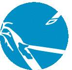 CTEPH inoperability icon