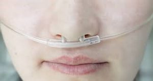 Nasal cannula used to deliver oxygen