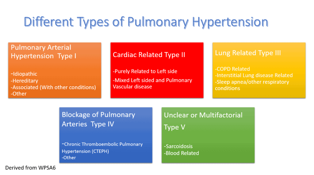 Chart showing five major types of pulmonary hypertension